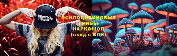 стафф Магас