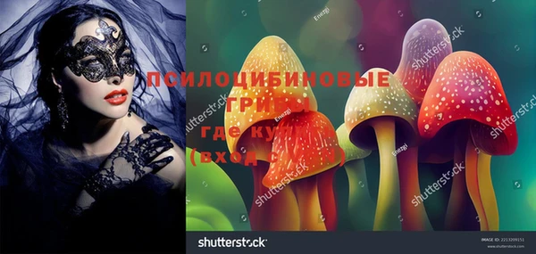 стафф Магас