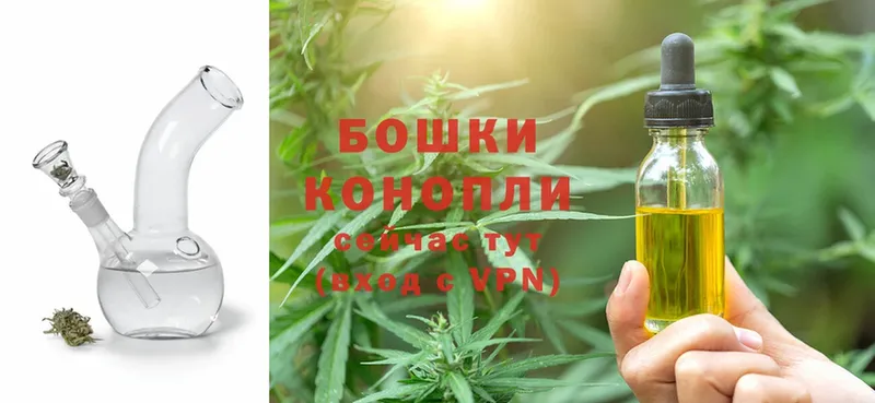 где можно купить наркотик  Инсар  Бошки Шишки SATIVA & INDICA 